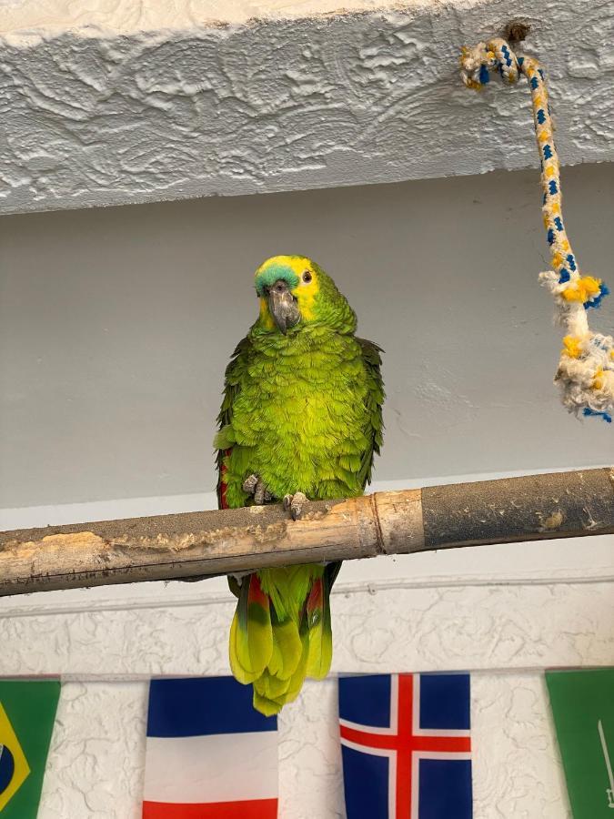 Hostel Maresias Do Leme Rio de Janeiro Kültér fotó