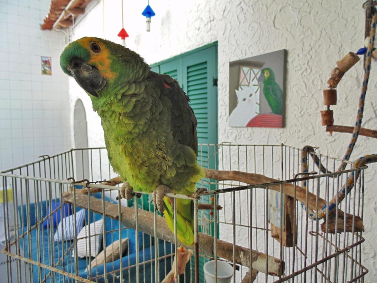 Hostel Maresias Do Leme Rio de Janeiro Kültér fotó